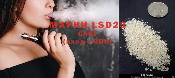 гашик Гусев