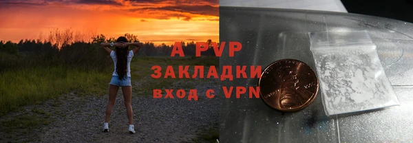 гашик Гусев