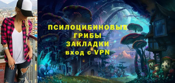 винт Вяземский