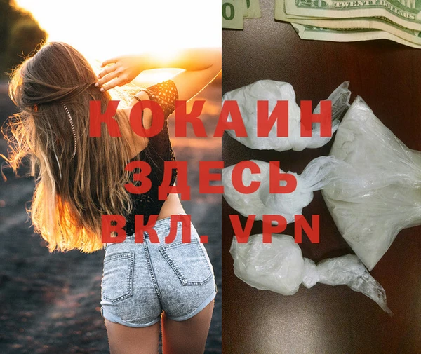 гашик Гусев