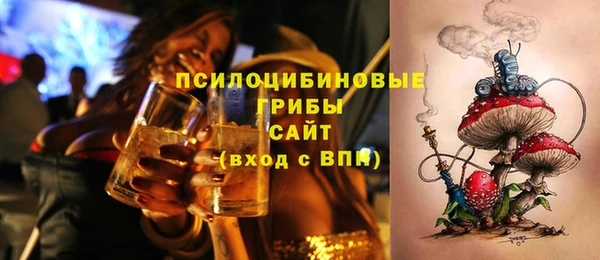 МДПВ Гусь-Хрустальный