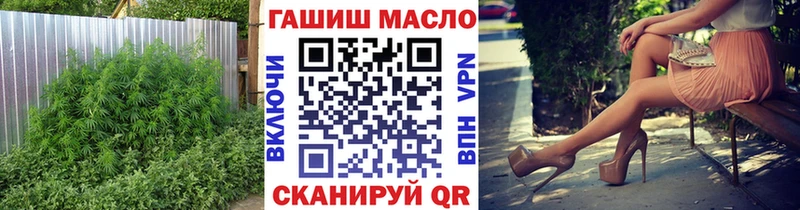 Купить где  Котельниково  ТГК концентрат 